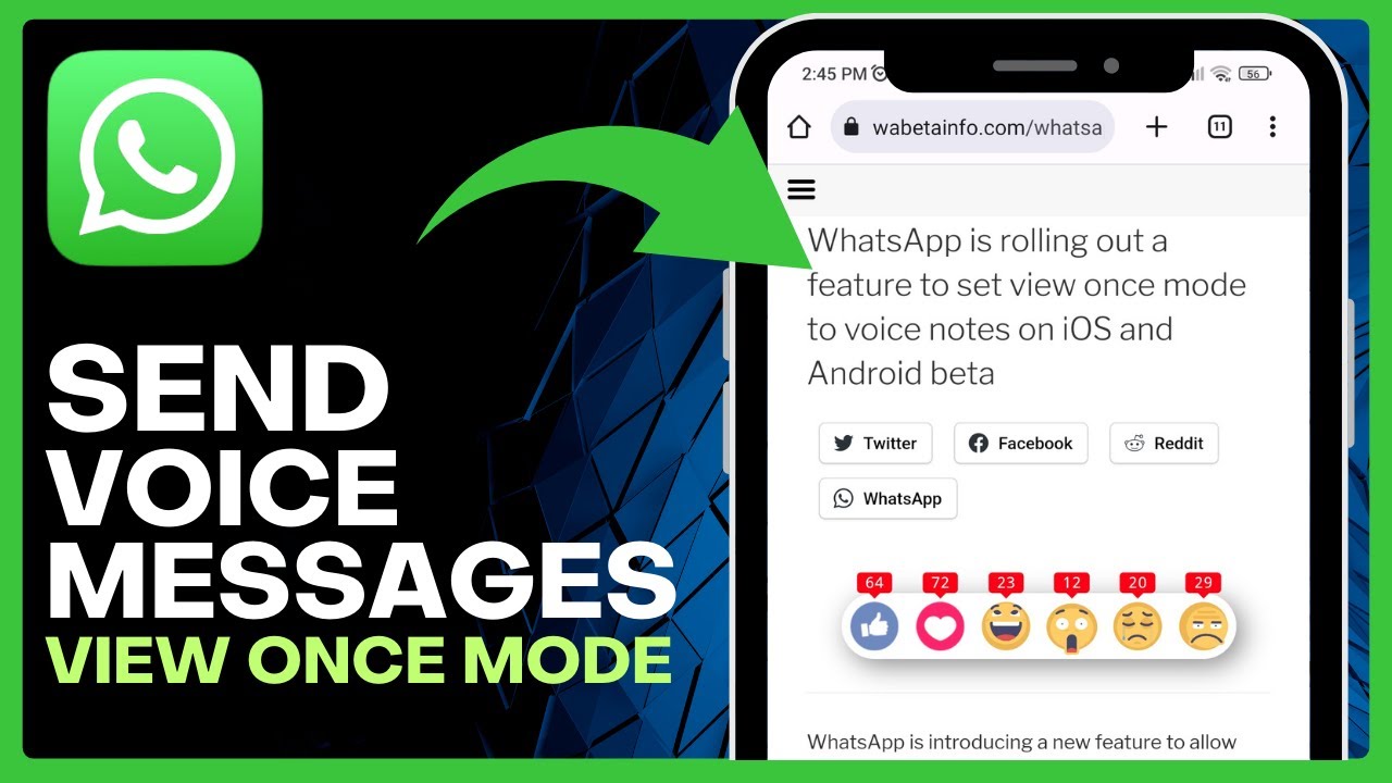 How to Send VOICE Messages with VIEW ONCE MODE in WhatsApp (Easy Way)